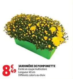 Auchan JARDINIÈRE DE POMPONETTE offre