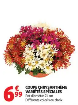 Auchan COUPE CHRYSANTHÈME offre