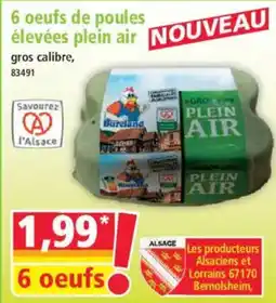 Norma Bureland oeufs de poules élevées plein air offre