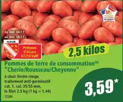 Norma Primeurs d'Alsace Pommes de terre de consommation offre