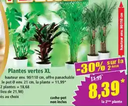 Norma Plantes vertes XL offre