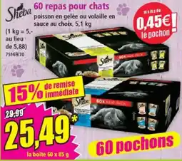 Norma Sheba 60 repas pour chats offre