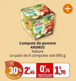 Coccinelle Supermarché ANDROS Compote de pomme offre