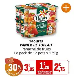 Coccinelle Supermarché Panier de Yoplait offre