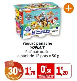 Coccinelle Supermarché YOPLAIT Yaourt panaché offre