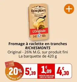 Coccinelle Supermarché RICHESMONTs Fromage à raclette en tranches offre