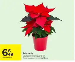 Carrefour Le poinsettia offre