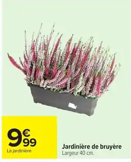 Carrefour Jardinière de bruyère offre