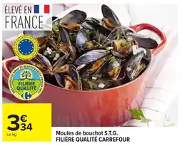 Carrefour Moules de bouchot S.T.G. offre