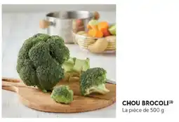 U Express CHOU BROCOLI offre