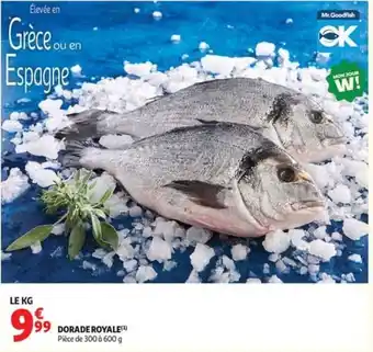 Mr.Goodfish DORADE ROYALE