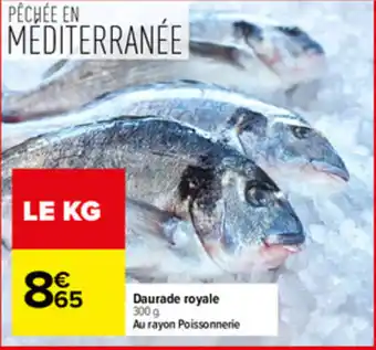 Daurade royale