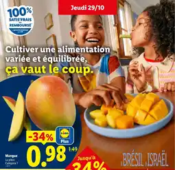 Lidl Mangue offre