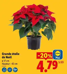 Lidl LIDL Grande étoile de Noël offre