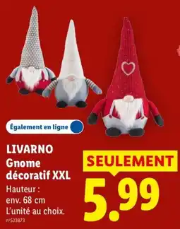 Lidl LIVARNO Gnome décoratif XXL offre