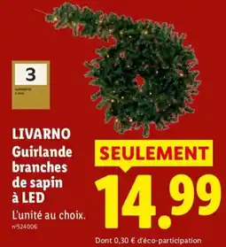 Lidl LIVARNO Guirlande branches de sapin à LED offre