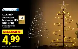 Lidl LIVARNO Décoration lumineuse LED offre
