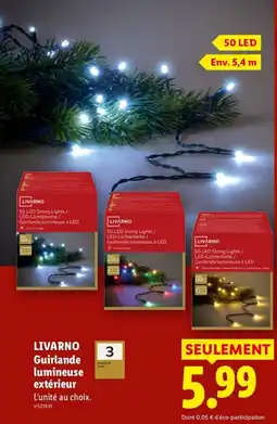 Lidl LIVARNO Guirlande lumineuse extérieur offre