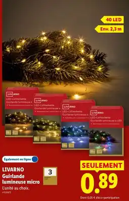 Lidl LIVARNO Guirlande lumineuse micro offre