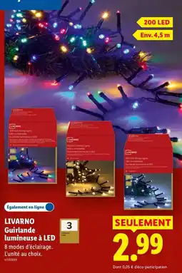 Lidl LIVARNO Guirlande lumineuse à LED offre