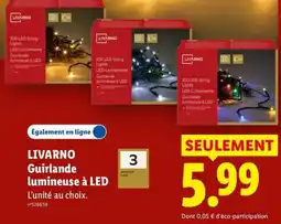 Lidl LIVARNO Guirlande lumineuse à LED offre