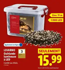 Lidl LIVARNO Guirlande lumineuse à LED offre