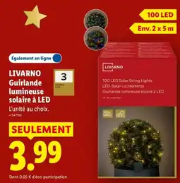 Lidl LIVARNO Guirlande lumineuse solaire à LED offre