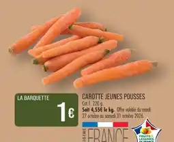 Match CAROTTE JEUNES POUSSES offre