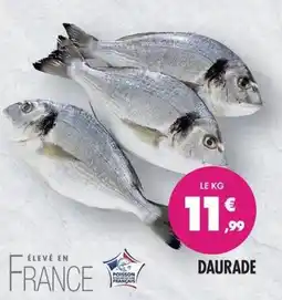 Match DAURADE offre