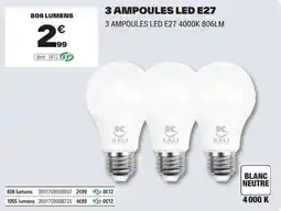 Brico Dépôt KELI Ampoules LED offre