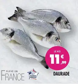 Match Daurade offre