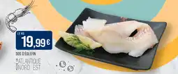 Match Dos d'églefin offre
