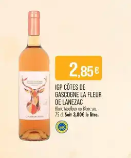 Match La fleur de lanezac igp côtes de gascogne offre