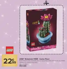 Carrefour Market LEGO Botanicals 11509 - Cactus Fleur offre