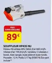 Rural Master Boost - souffleur nu offre