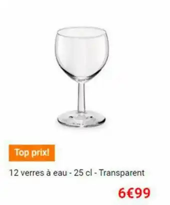 La Foir'Fouille 12 Verres à eau offre