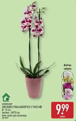 ALDI GARDENLINE ORCHIDÉE PHALAENOPSIS 2 TIGES offre