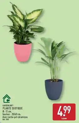 ALDI GARDENLINE PLANTE EXOTIQUE offre