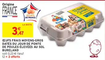 Bureland Œufs frais moyens-gros