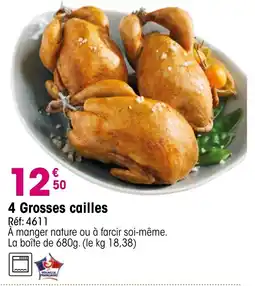 Croque Gel 4 Grosses cailles offre