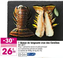 Croque Gel Queue de langoustes crues des Caraïbes offre