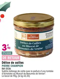 Croque Gel PIERRE CHAMPION Délice de cailles offre