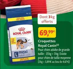 Maxi Zoo Royal canin croquettes offre