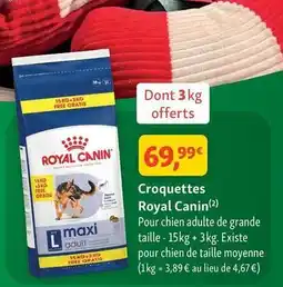 Maxi Zoo Royal canin - croquettes offre