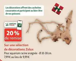 Maxi Zoo Zolux - décorations offre