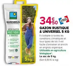 Kiriel BARENBRUG Gazon Rustique & Universel offre