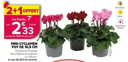 Kiriel Fleuron d'Anjou MINI CYCLAMEN offre