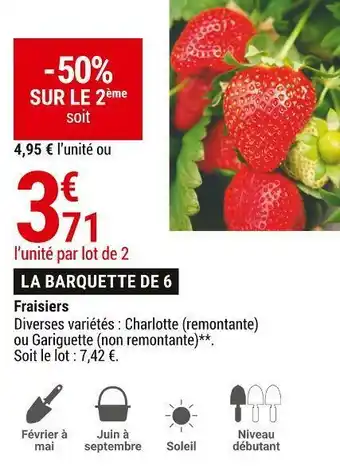 Gamm vert Fraisiers offre