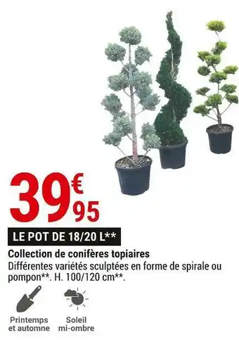 Gamm vert Collection de conifères topiaires offre
