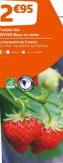 Jardiland Invivo nous on sème fraisier bio offre